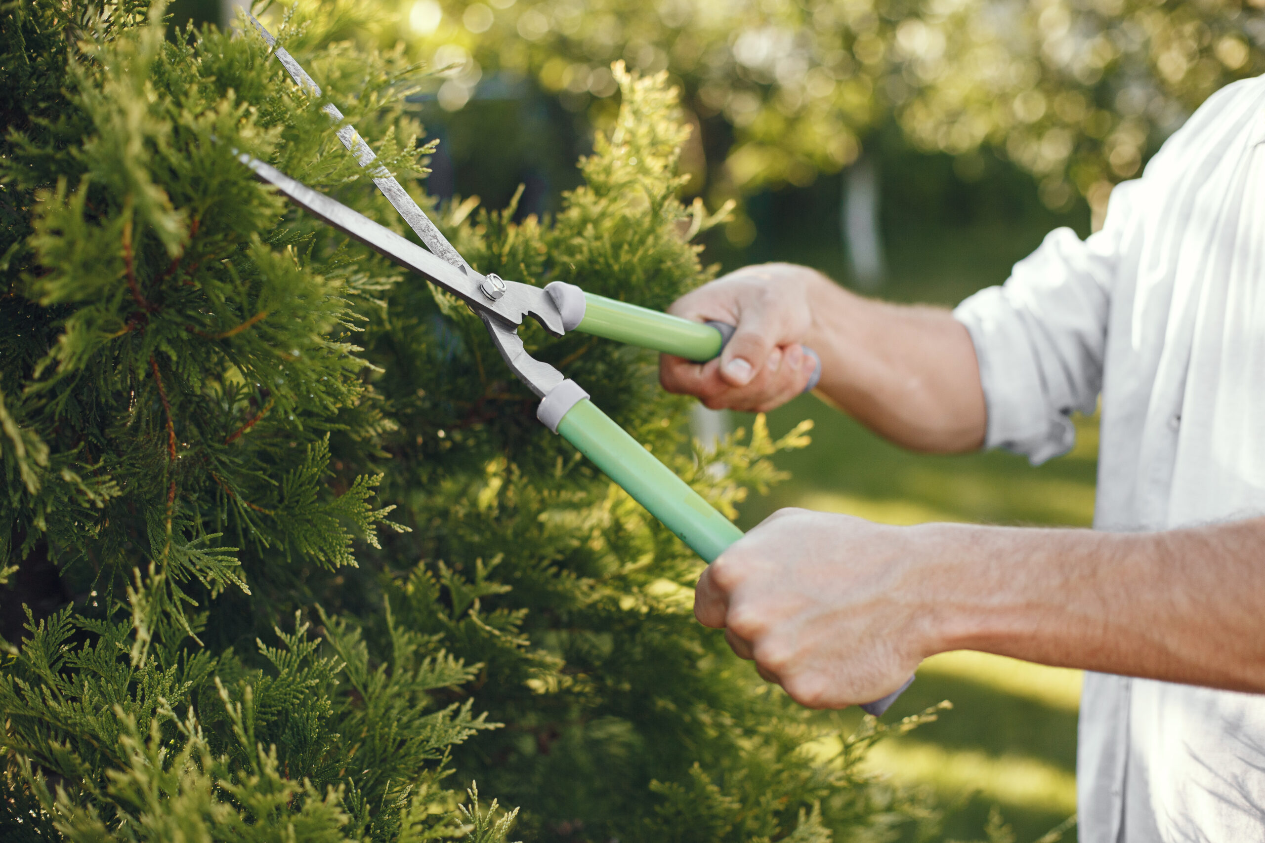 Landscaping Eureka Missouri